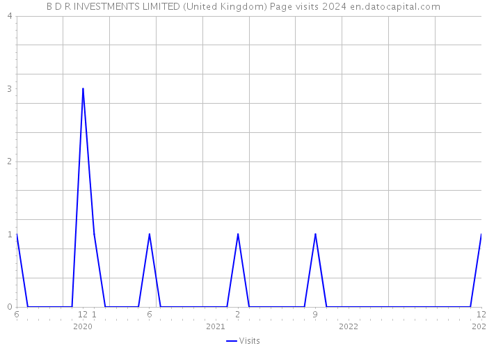 B D R INVESTMENTS LIMITED (United Kingdom) Page visits 2024 