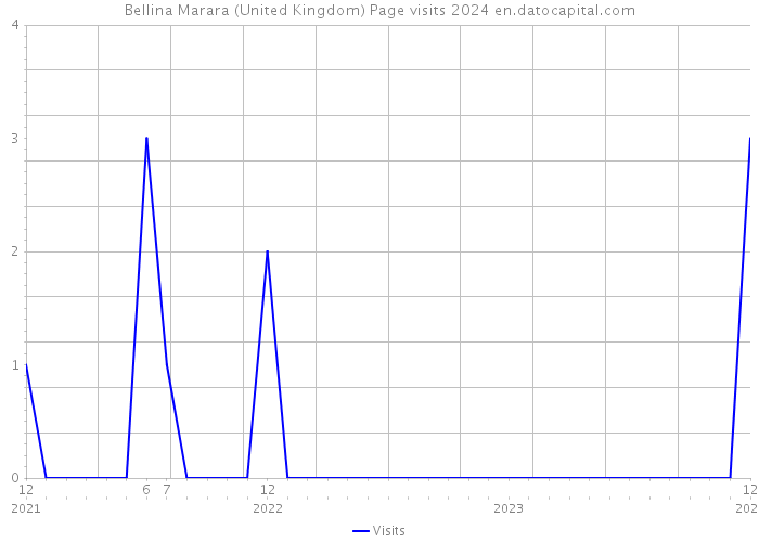 Bellina Marara (United Kingdom) Page visits 2024 