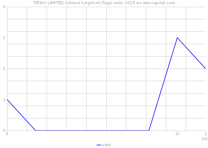 TENAX LIMITED (United Kingdom) Page visits 2024 