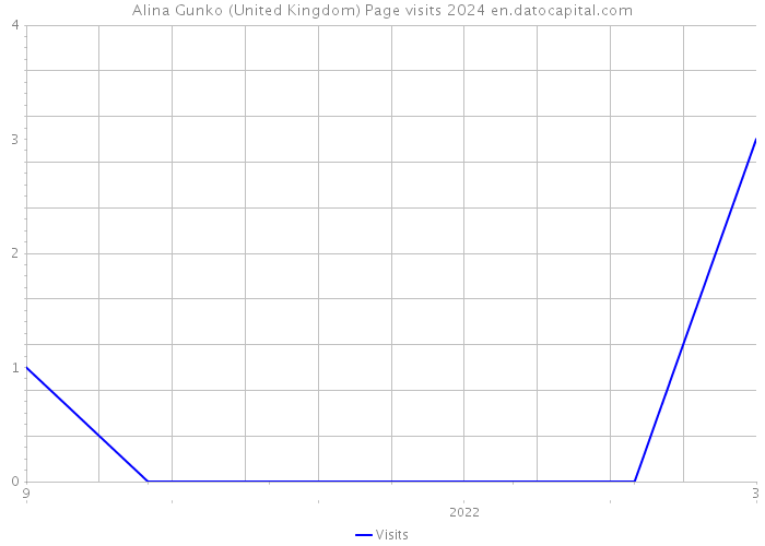 Alina Gunko (United Kingdom) Page visits 2024 