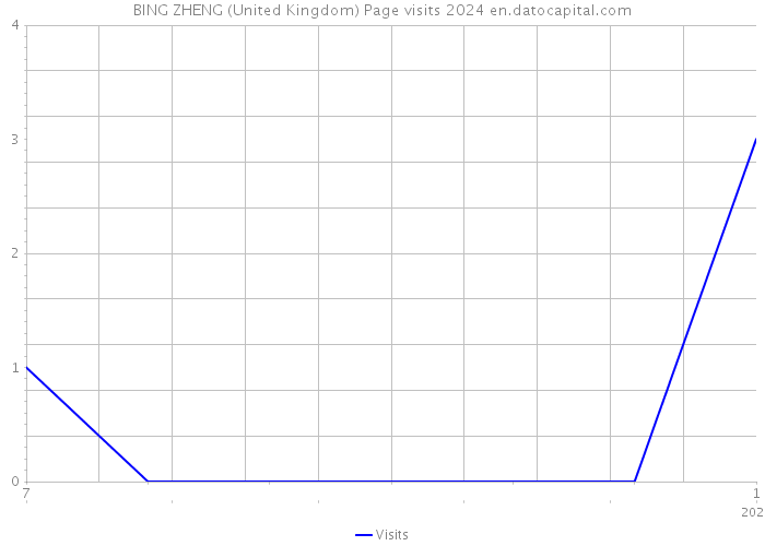 BING ZHENG (United Kingdom) Page visits 2024 