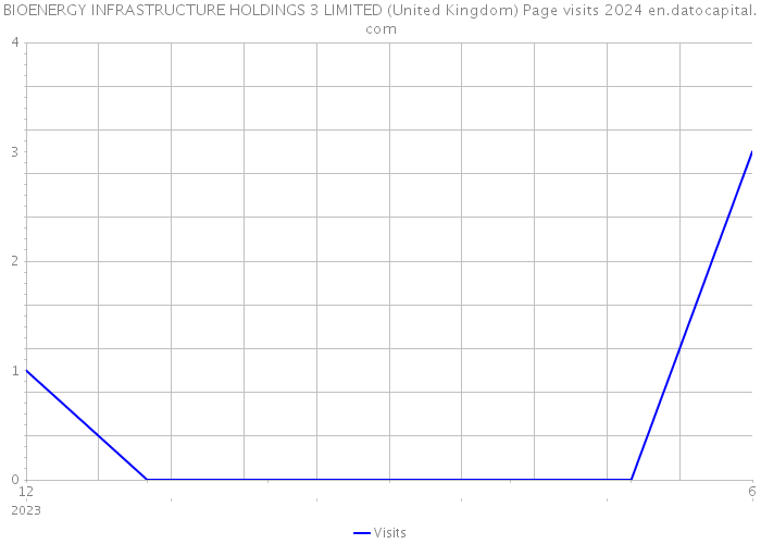 BIOENERGY INFRASTRUCTURE HOLDINGS 3 LIMITED (United Kingdom) Page visits 2024 