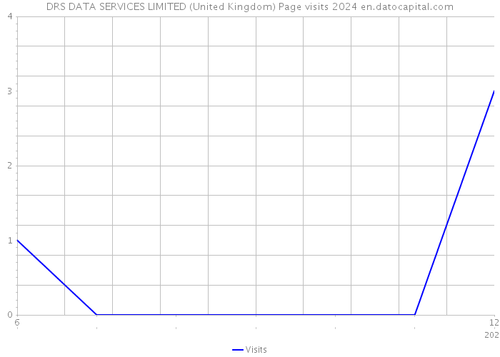 DRS DATA SERVICES LIMITED (United Kingdom) Page visits 2024 