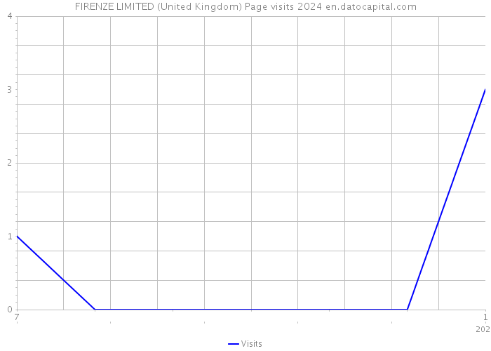 FIRENZE LIMITED (United Kingdom) Page visits 2024 