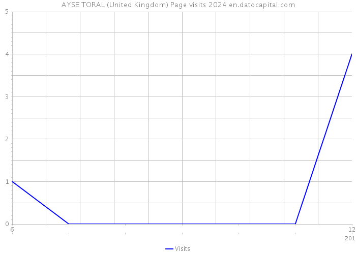 AYSE TORAL (United Kingdom) Page visits 2024 