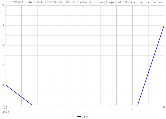 ELECTRIX INTERNATIONAL HOLDINGS LIMITED (United Kingdom) Page visits 2024 