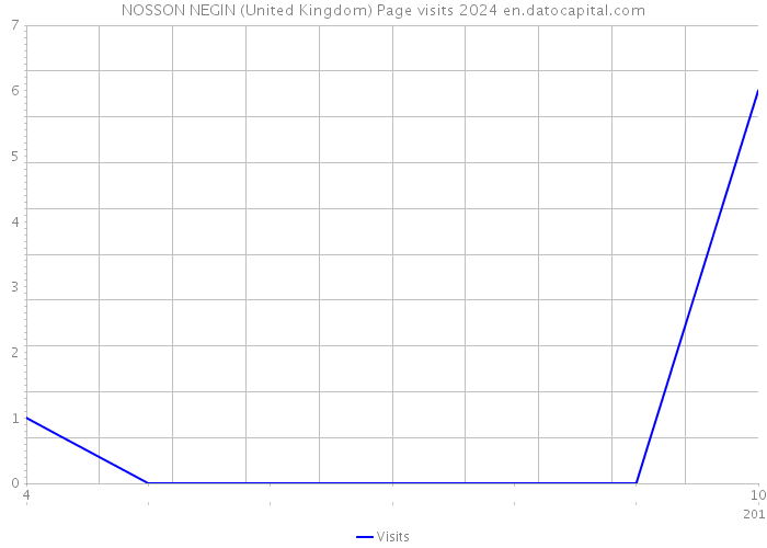 NOSSON NEGIN (United Kingdom) Page visits 2024 