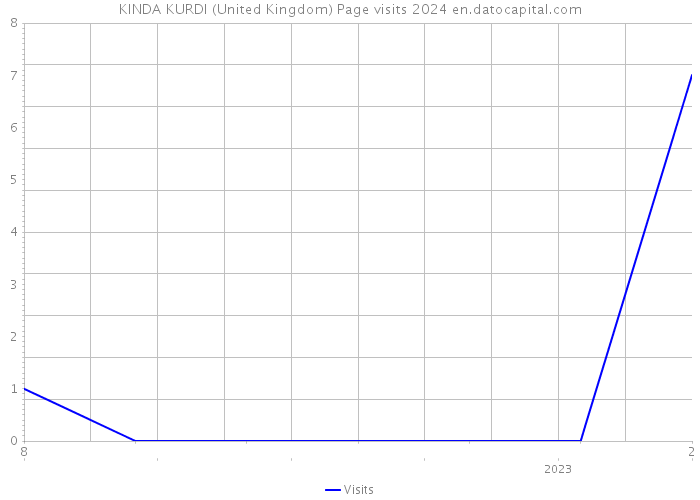 KINDA KURDI (United Kingdom) Page visits 2024 