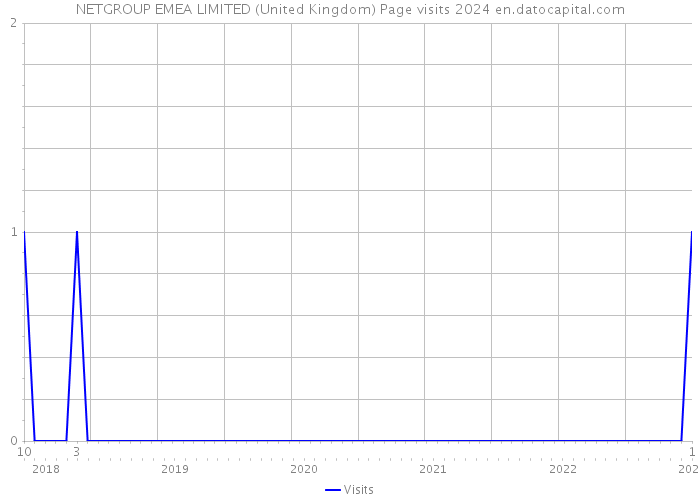 NETGROUP EMEA LIMITED (United Kingdom) Page visits 2024 