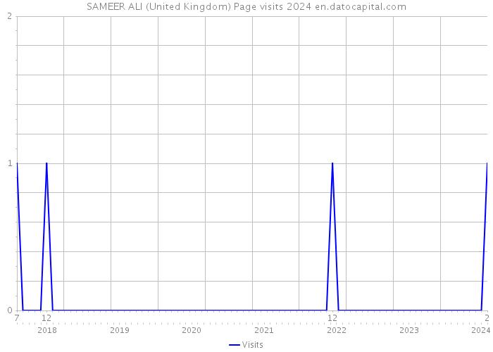 SAMEER ALI (United Kingdom) Page visits 2024 
