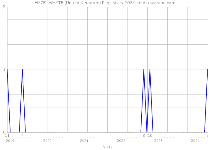 HAZEL WAYTE (United Kingdom) Page visits 2024 