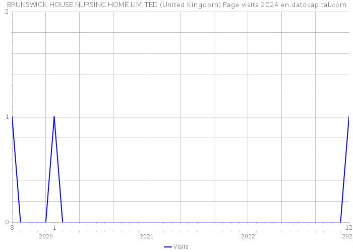 BRUNSWICK HOUSE NURSING HOME LIMITED (United Kingdom) Page visits 2024 