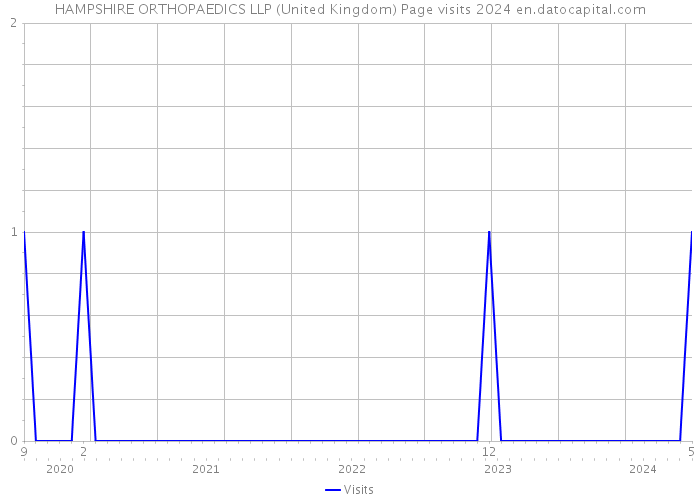HAMPSHIRE ORTHOPAEDICS LLP (United Kingdom) Page visits 2024 