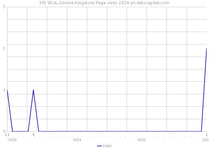 KRI SKUL (United Kingdom) Page visits 2024 