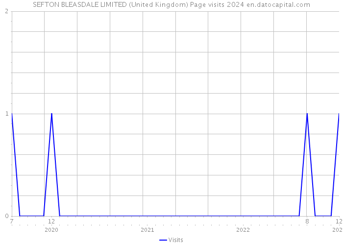 SEFTON BLEASDALE LIMITED (United Kingdom) Page visits 2024 