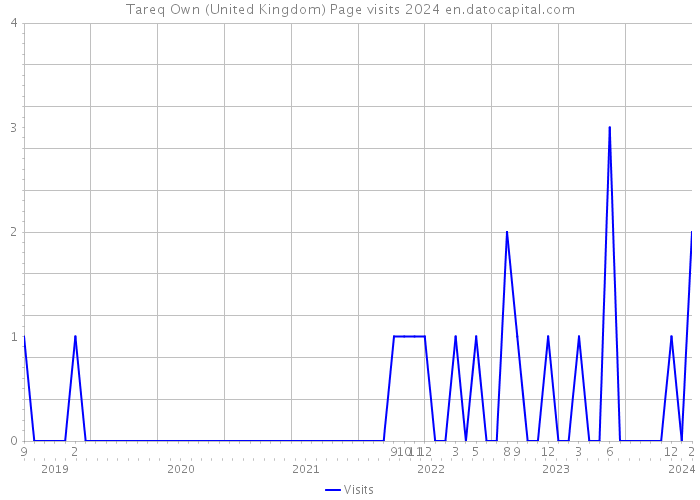 Tareq Own (United Kingdom) Page visits 2024 
