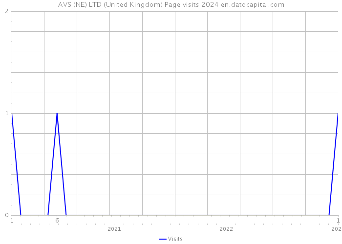 AVS (NE) LTD (United Kingdom) Page visits 2024 