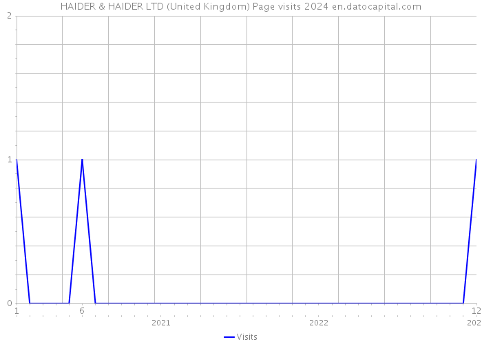 HAIDER & HAIDER LTD (United Kingdom) Page visits 2024 