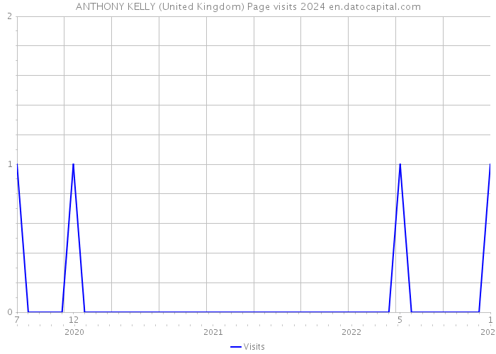 ANTHONY KELLY (United Kingdom) Page visits 2024 