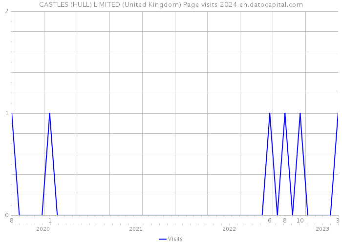 CASTLES (HULL) LIMITED (United Kingdom) Page visits 2024 
