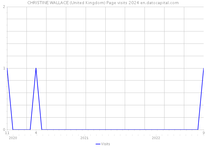 CHRISTINE WALLACE (United Kingdom) Page visits 2024 