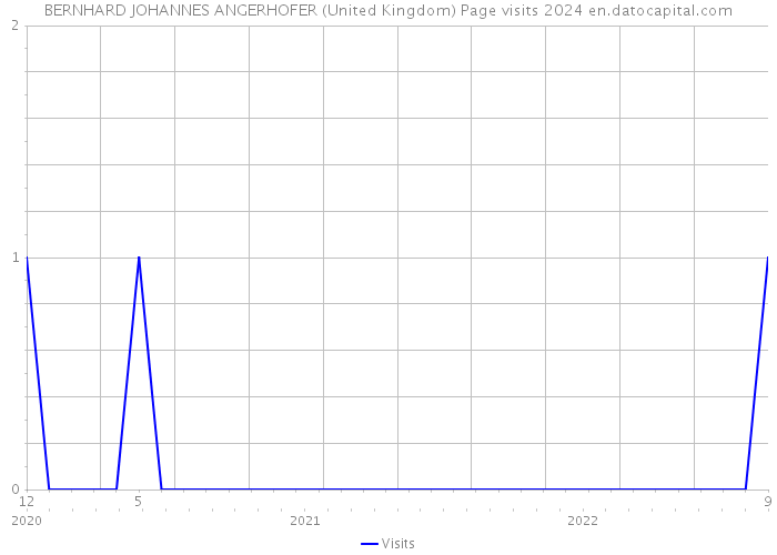 BERNHARD JOHANNES ANGERHOFER (United Kingdom) Page visits 2024 