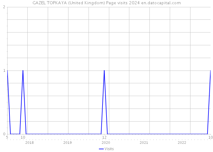 GAZEL TOPKAYA (United Kingdom) Page visits 2024 