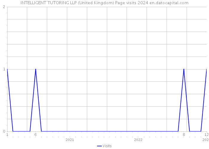 INTELLIGENT TUTORING LLP (United Kingdom) Page visits 2024 