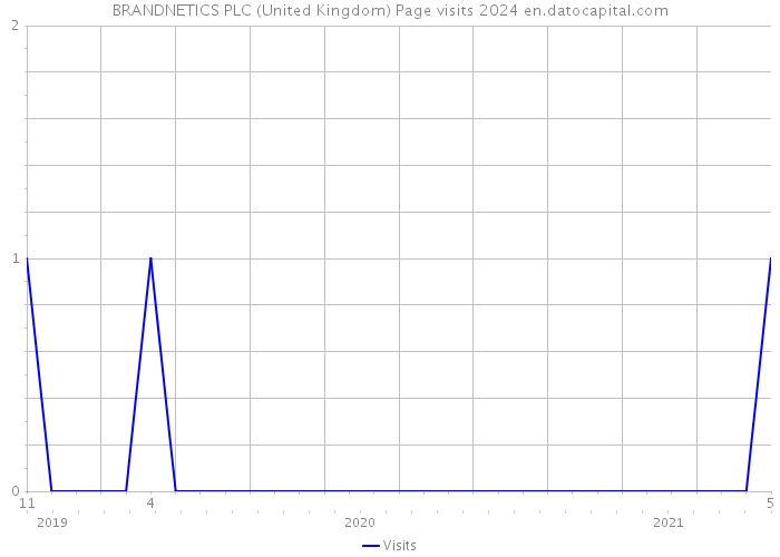 BRANDNETICS PLC (United Kingdom) Page visits 2024 
