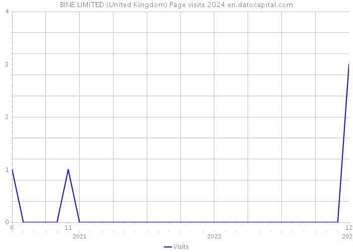 BINE LIMITED (United Kingdom) Page visits 2024 