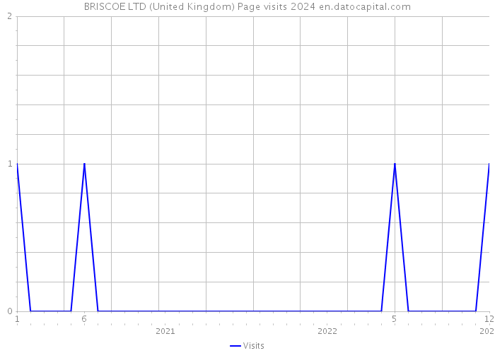 BRISCOE LTD (United Kingdom) Page visits 2024 