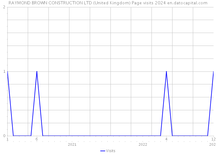 RAYMOND BROWN CONSTRUCTION LTD (United Kingdom) Page visits 2024 