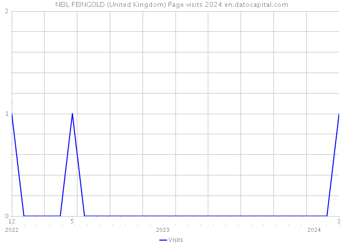 NEIL FEINGOLD (United Kingdom) Page visits 2024 