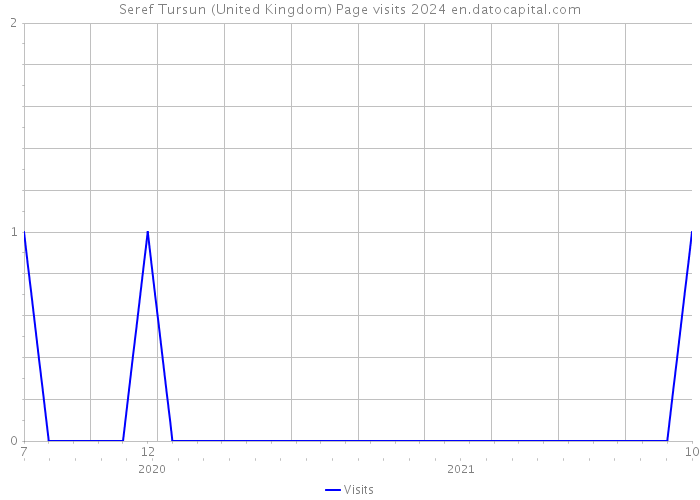 Seref Tursun (United Kingdom) Page visits 2024 