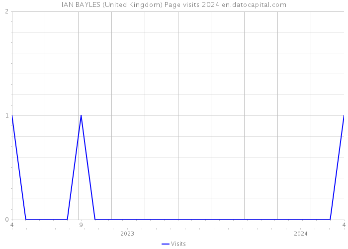 IAN BAYLES (United Kingdom) Page visits 2024 