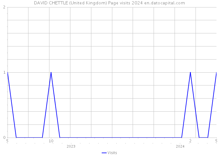 DAVID CHETTLE (United Kingdom) Page visits 2024 