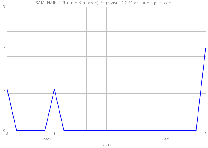 SAMI HAJRIZI (United Kingdom) Page visits 2024 
