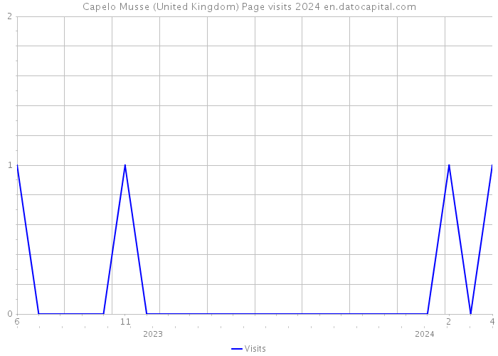 Capelo Musse (United Kingdom) Page visits 2024 
