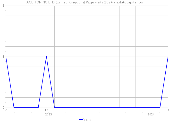 FACE TONING LTD (United Kingdom) Page visits 2024 