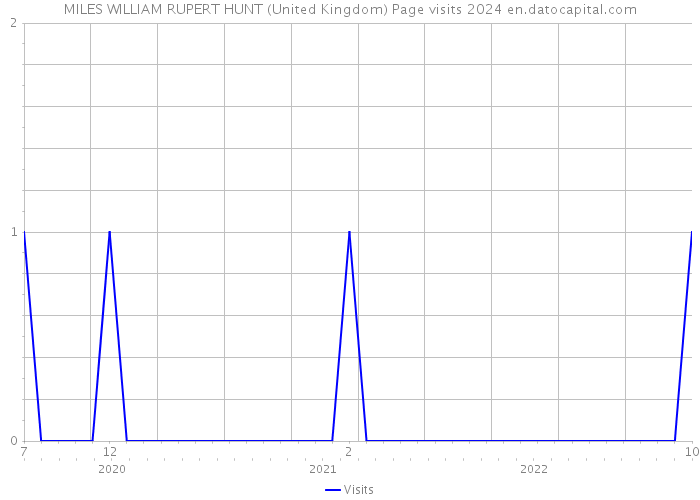 MILES WILLIAM RUPERT HUNT (United Kingdom) Page visits 2024 