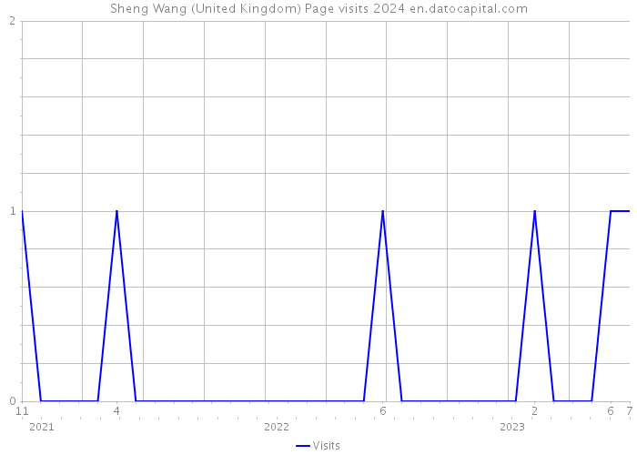 Sheng Wang (United Kingdom) Page visits 2024 