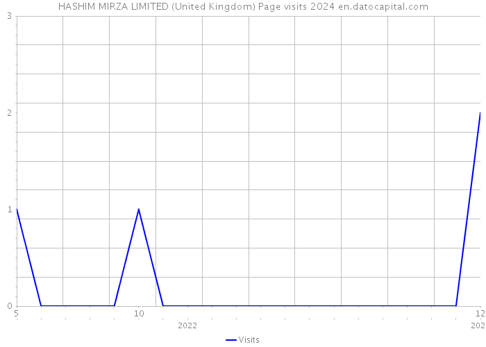 HASHIM MIRZA LIMITED (United Kingdom) Page visits 2024 