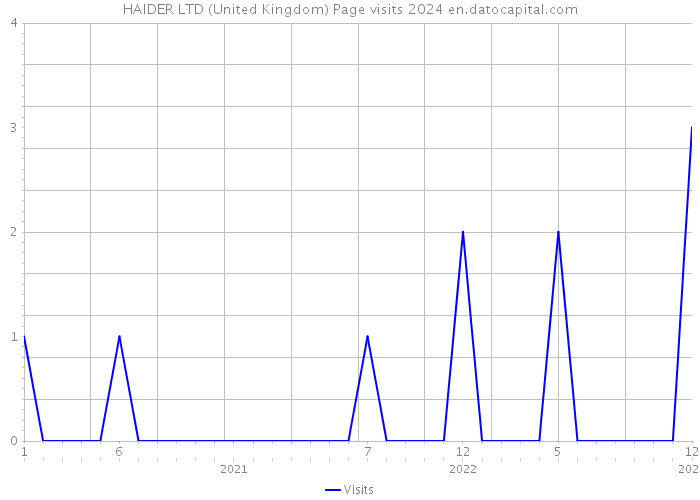 HAIDER LTD (United Kingdom) Page visits 2024 