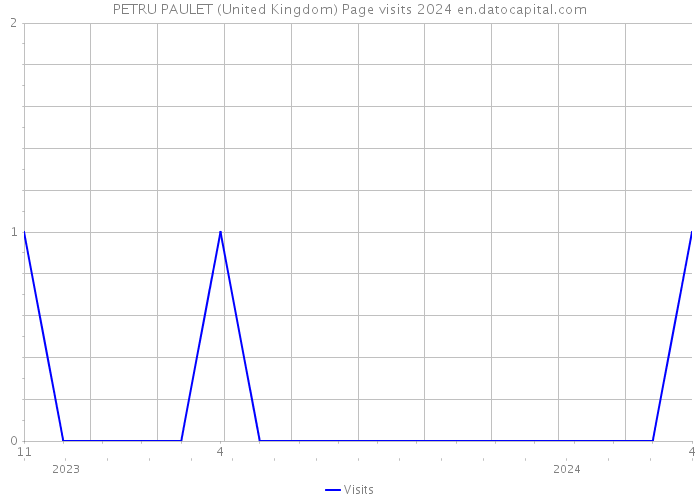 PETRU PAULET (United Kingdom) Page visits 2024 
