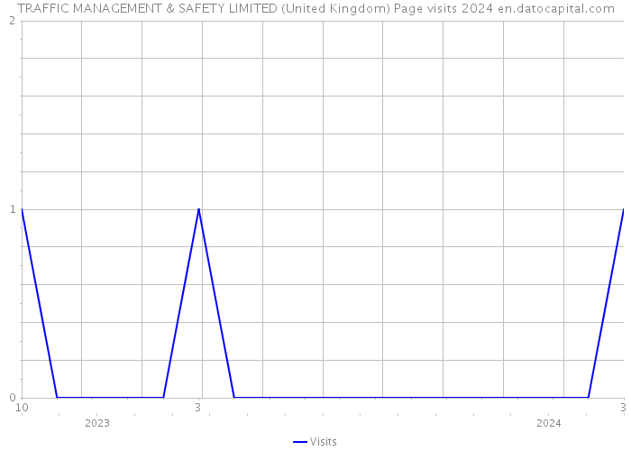 TRAFFIC MANAGEMENT & SAFETY LIMITED (United Kingdom) Page visits 2024 