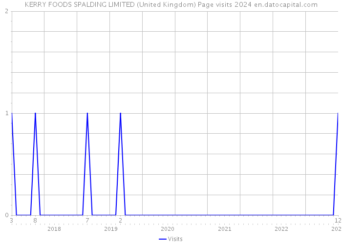 KERRY FOODS SPALDING LIMITED (United Kingdom) Page visits 2024 