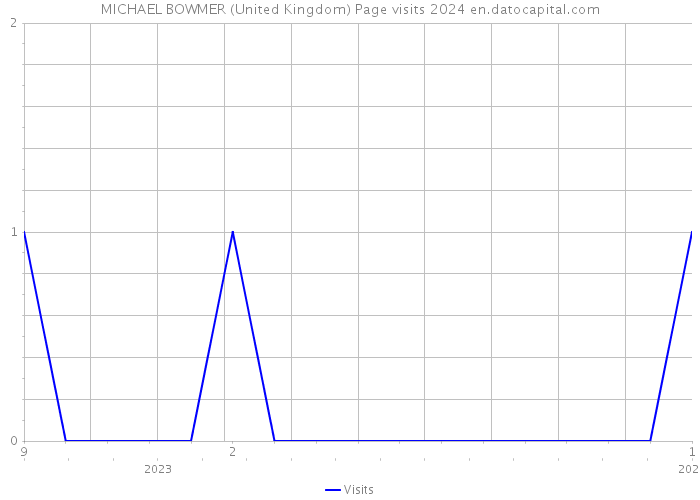 MICHAEL BOWMER (United Kingdom) Page visits 2024 