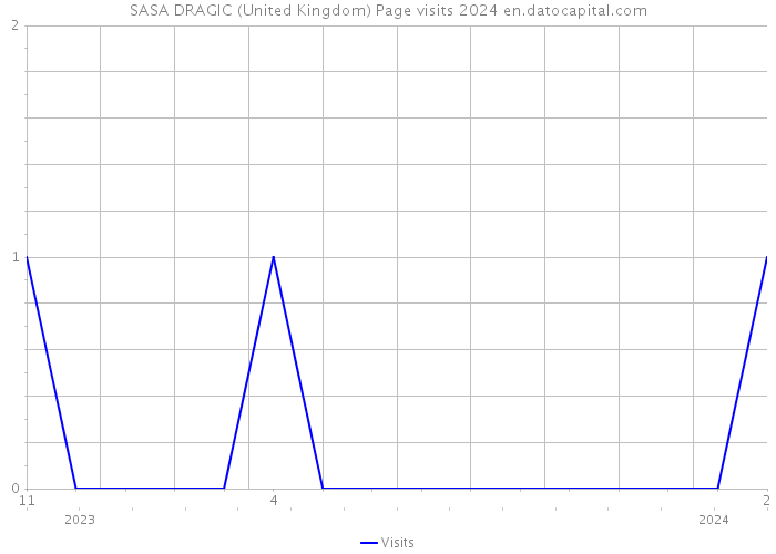 SASA DRAGIC (United Kingdom) Page visits 2024 