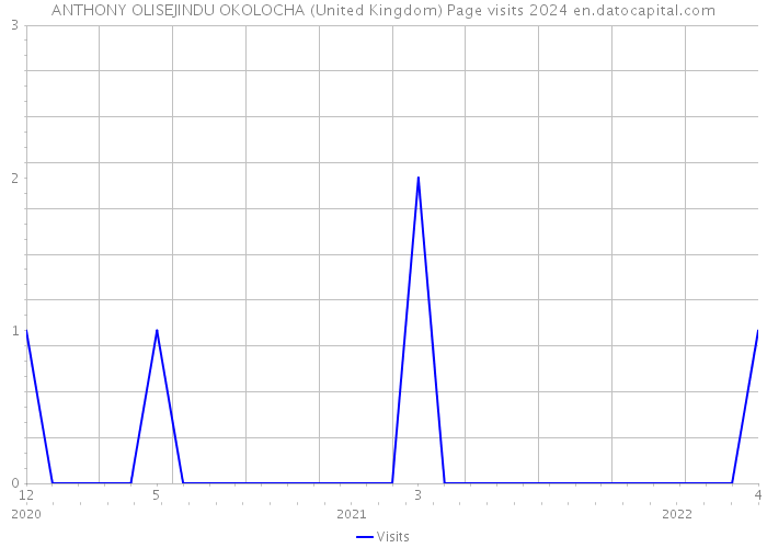ANTHONY OLISEJINDU OKOLOCHA (United Kingdom) Page visits 2024 