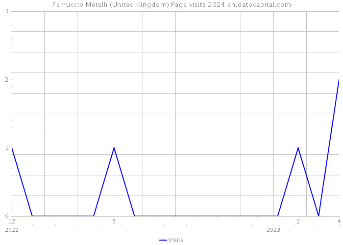 Ferruccio Metelli (United Kingdom) Page visits 2024 